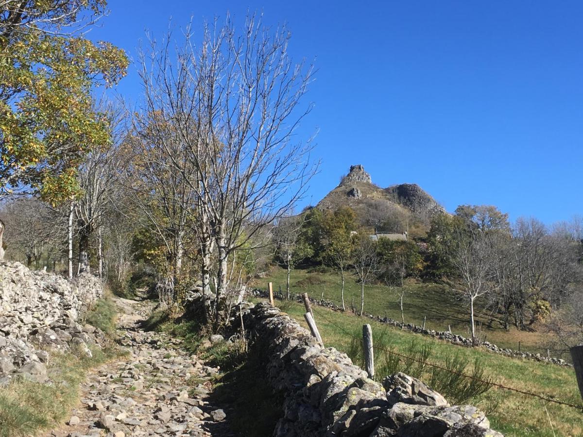 Chambres D'Hotes Le Lepadou-Bas Saint-Chély-dʼAubrac 外观 照片