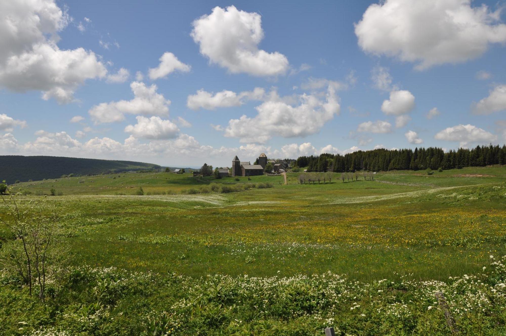 Chambres D'Hotes Le Lepadou-Bas Saint-Chély-dʼAubrac 外观 照片
